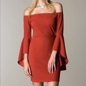Off-Shoulder pop of color Outshine the Rest dress